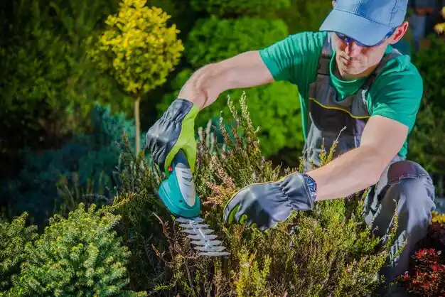 landscaping services Stony Prairie